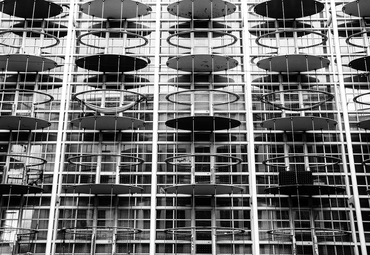 香芋最新價格分析與展望，未來趨勢解析