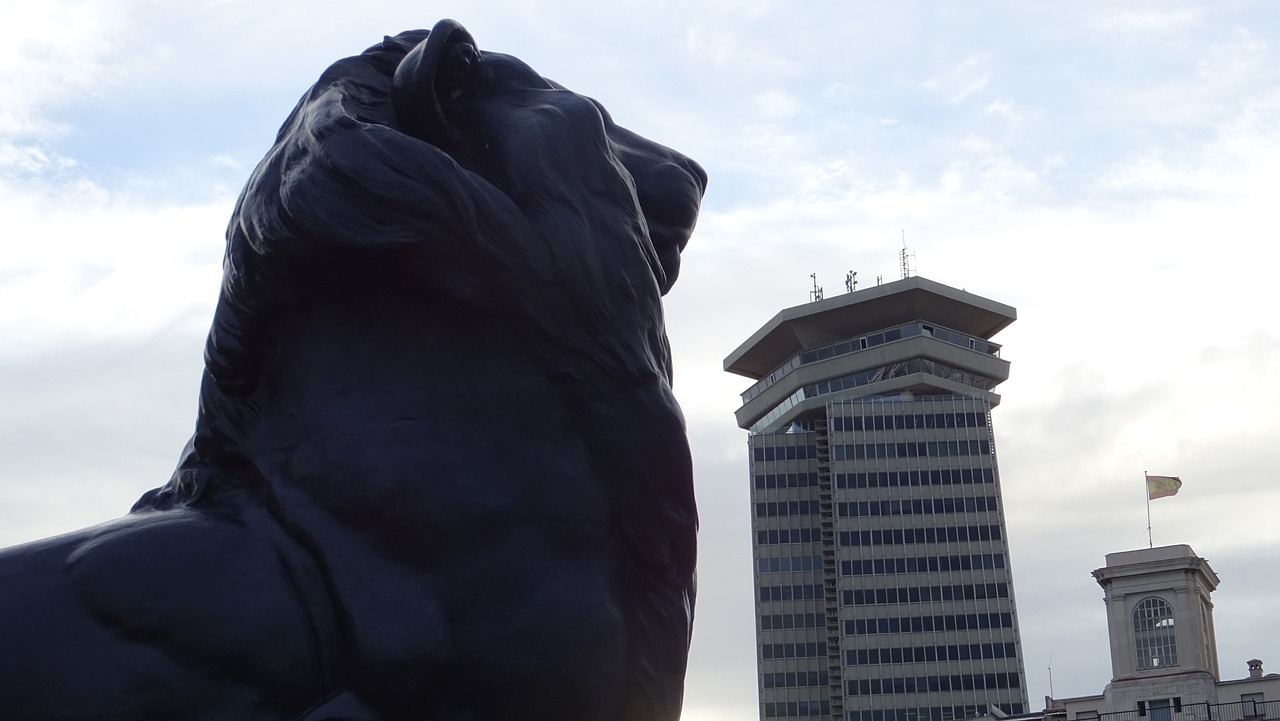 龍泉最新動態(tài)，城市發(fā)展的脈搏與未來展望