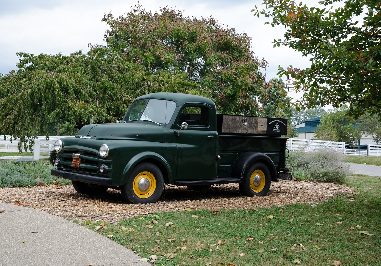 北郭灣最新發(fā)展動(dòng)態(tài)概覽