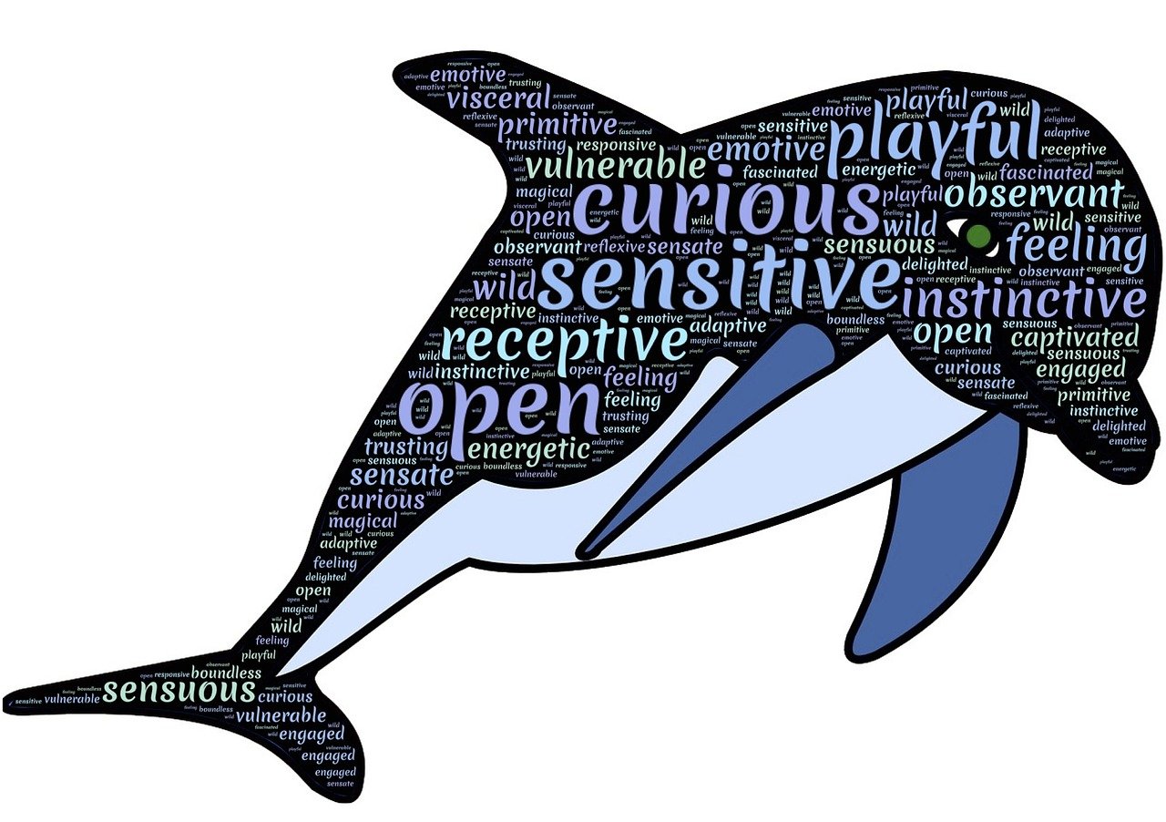 最新斗圖圖片，活力與樂趣的無(wú)限世界展現(xiàn)