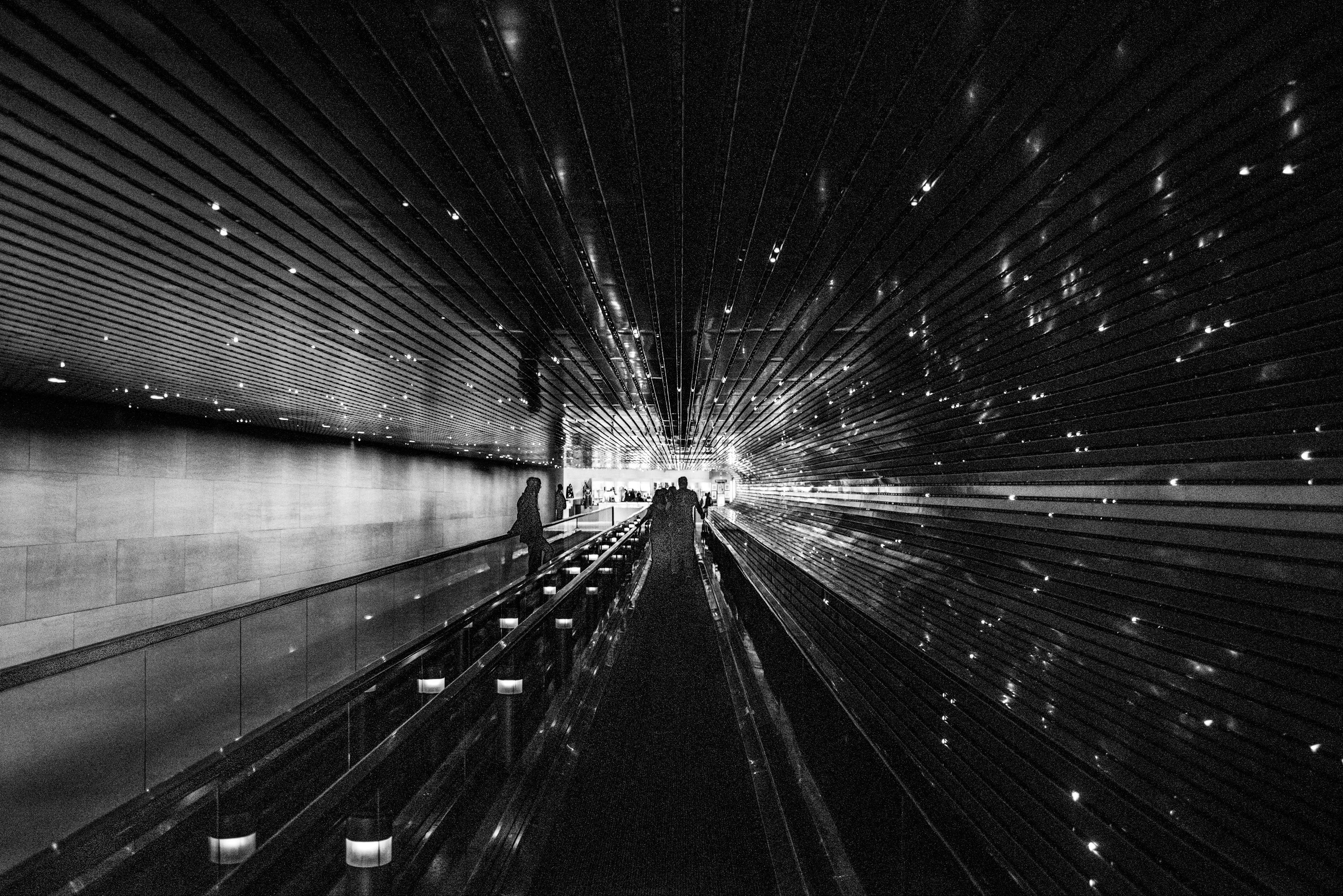 D市界新篇章，繁榮活力展望未來