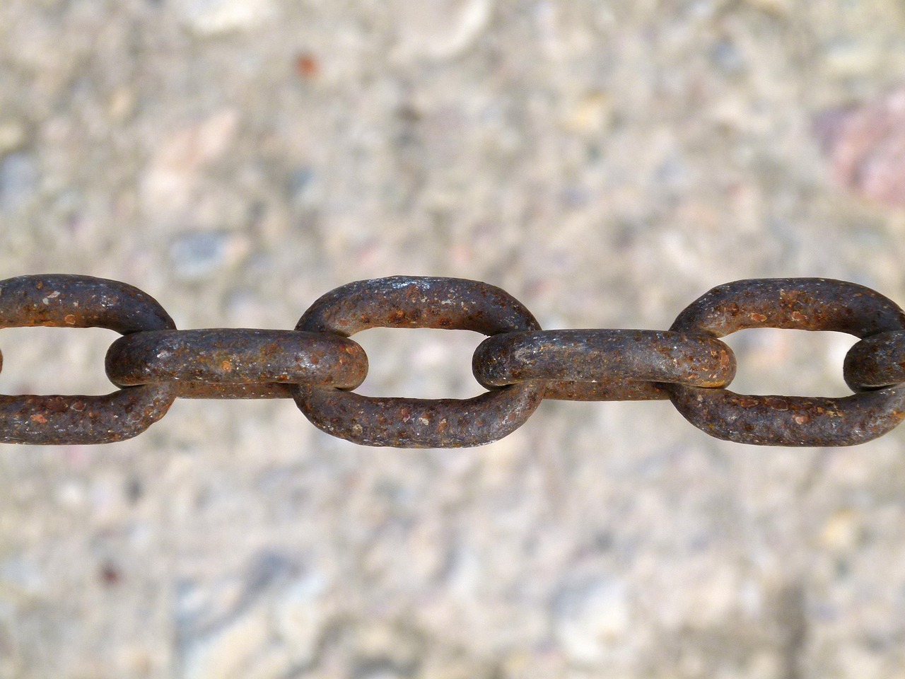 鐘山最新新聞動態(tài)報道速遞