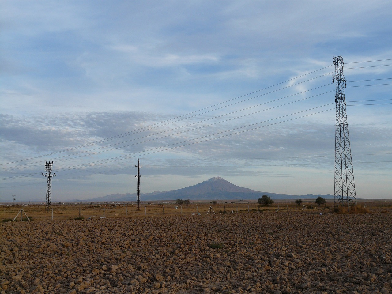 郭力夫最新動態(tài)與成就概覽