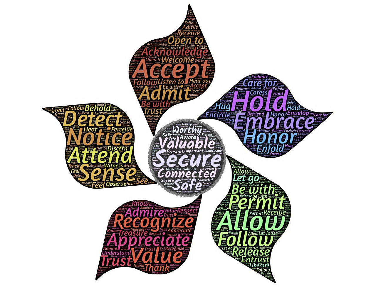 黃山事件最新動態(tài)，多方聯(lián)動共創(chuàng)和諧旅游環(huán)境