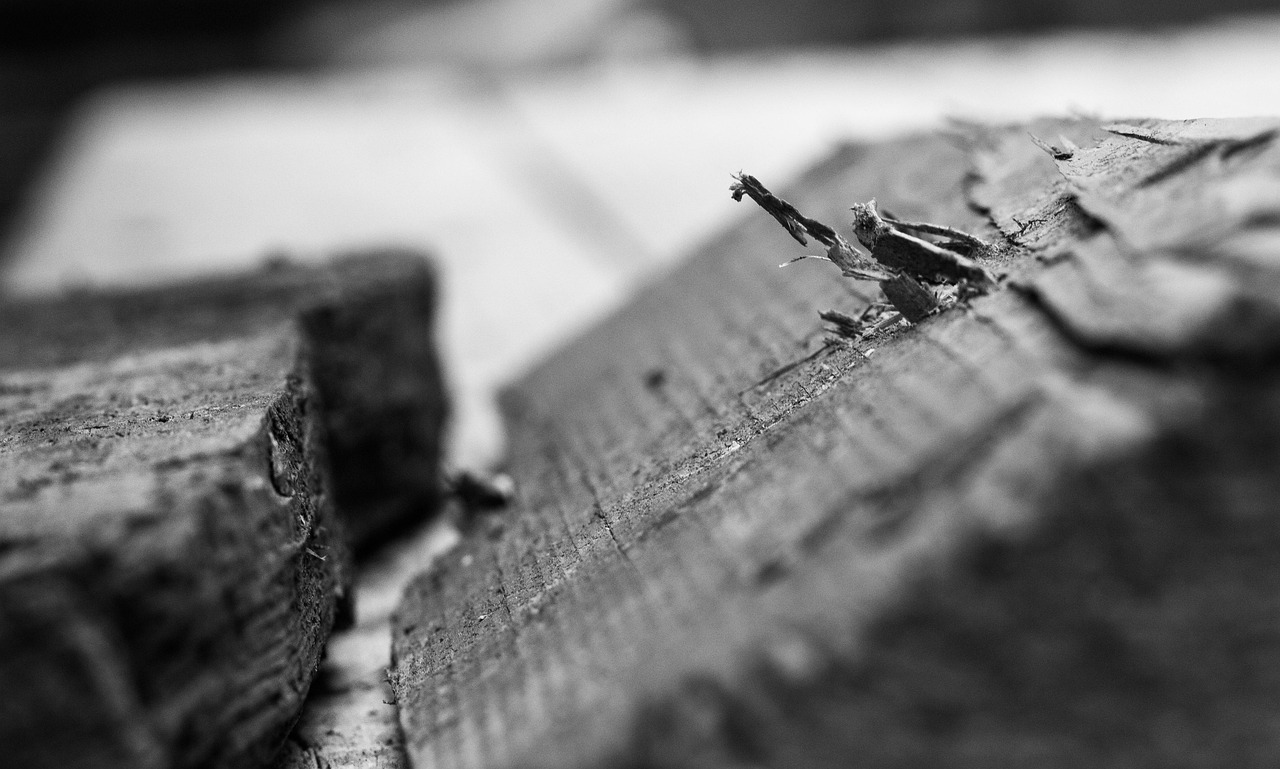 多蘭盾最新動(dòng)態(tài)與技術(shù)革新概覽